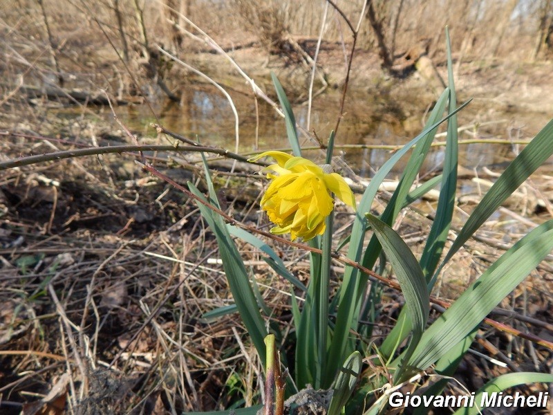 Qualche immagine di Primavera....